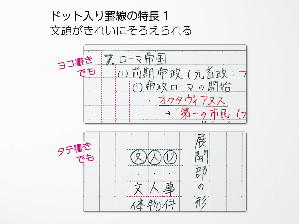 Campus Dotted Line B5 Ruled Notebook - 5 Pack