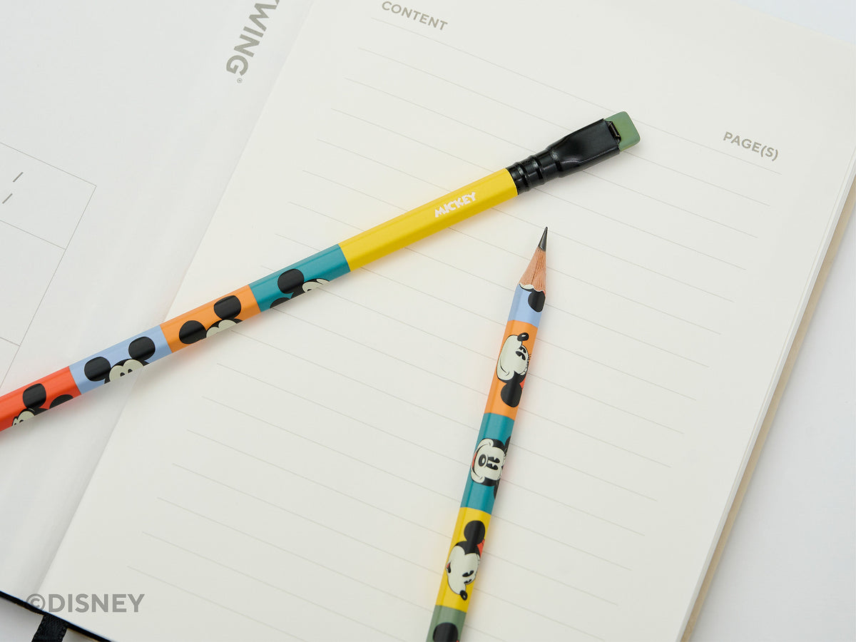 Blackwing Mickey and Friends Slate Notebooks - Donald and Daisy