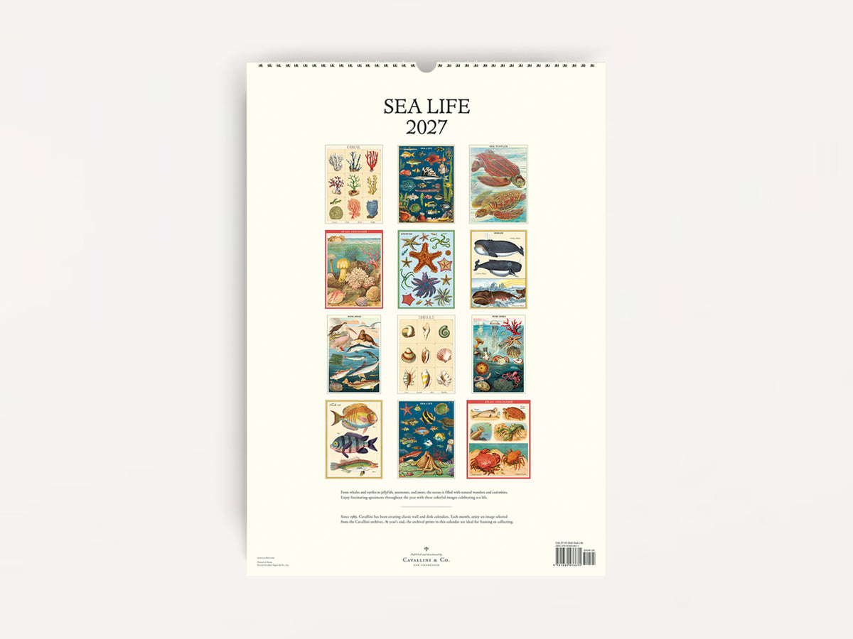 Cavallini 2027 WALL Calendar - Sea Life