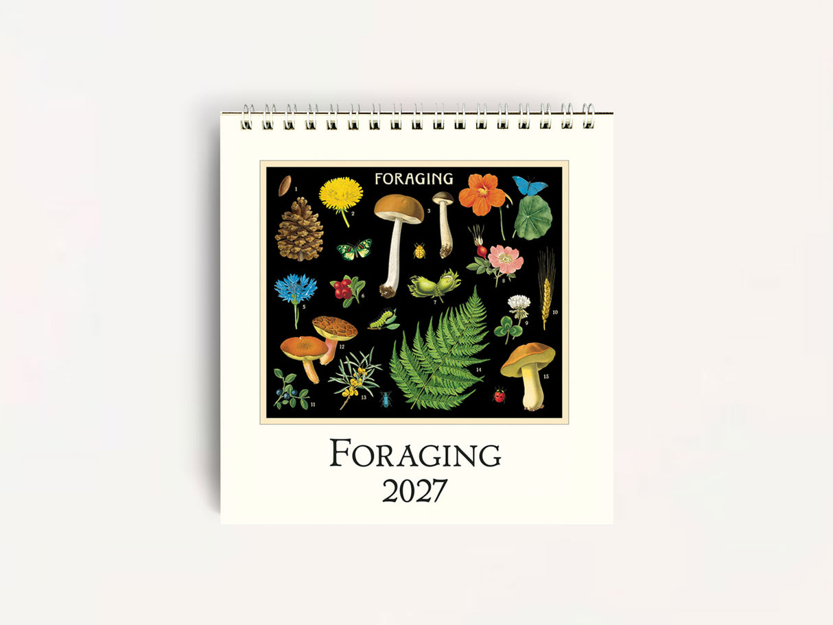 Cavallini 2027 DESK Calendar - Foraging