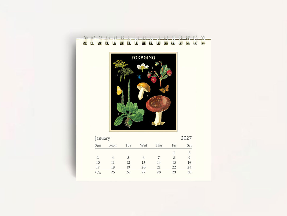Cavallini 2027 DESK Calendar - Foraging