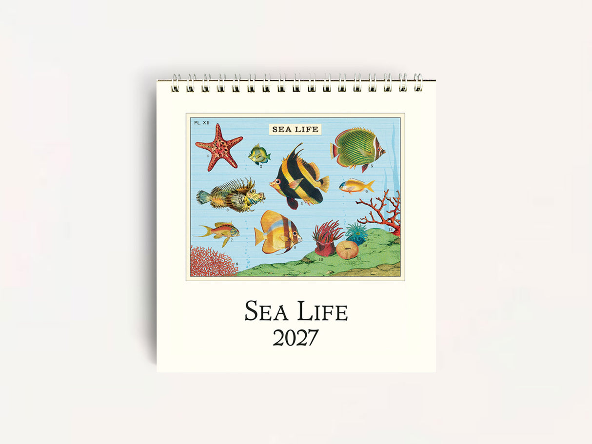 Cavallini 2027 DESK Calendar - Sea Life