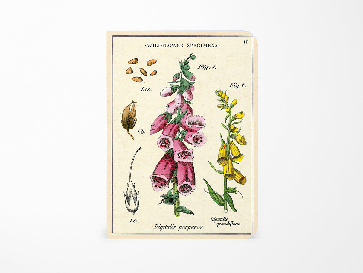 Cavallini Mini Vintage Notebooks Set of 3 - Wildflowers