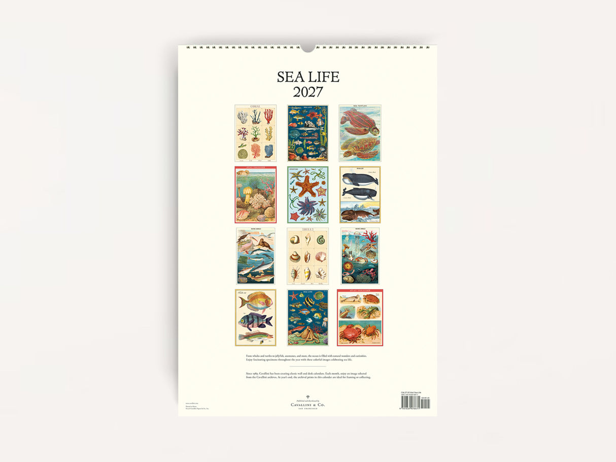 Cavallini 2027 WALL Calendar - Sea Life