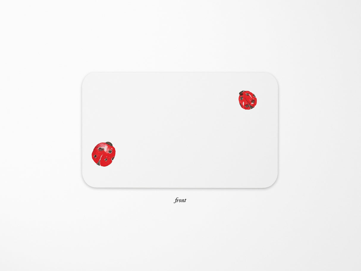 E. Frances Little Notes® - Ladybug New 55 Count