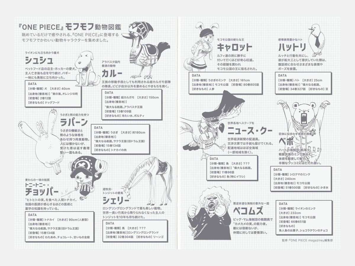 OCT Hobonichi Techo 2027 Original Book A6 - ONE PIECE EDITION