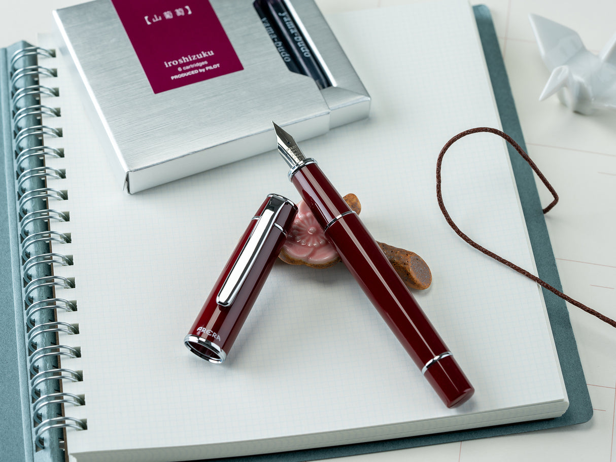 Pilot Prera Fountain Pen - Brown