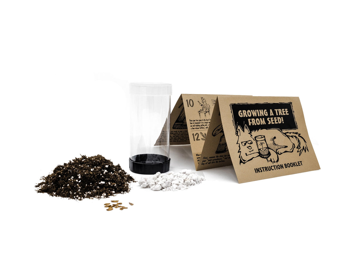 Washington D.C. Cherry | Seed Grow Kit