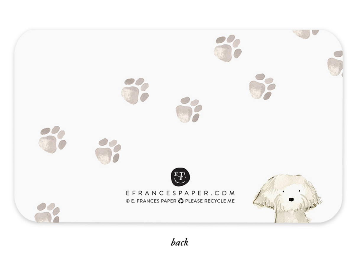 E. Frances Little Notes® - Dog Days New 55 Count