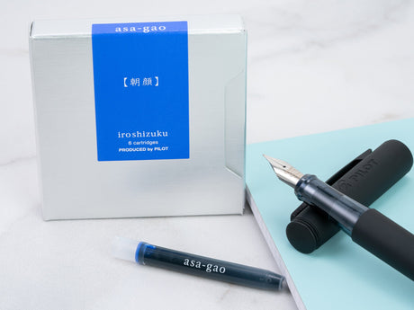 Fountain Pen and Ink Refill