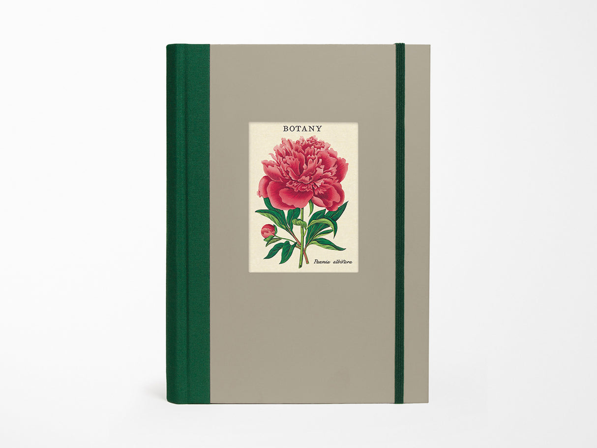 Botany Window Journal