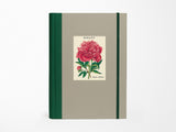 Botany Window Journal
