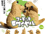 Fighting Marmot Blind Box