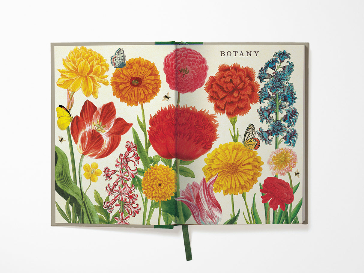 Botany Window Journal