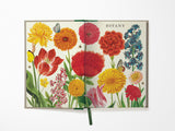 Botany Window Journal