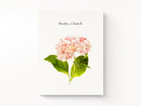Pink Hydrangeas Thank You Greeting Cards, Box of 8