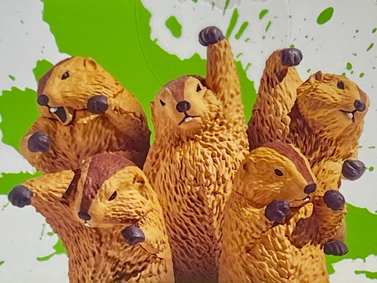 Fighting Marmot Blind Box