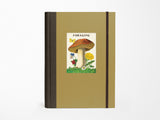 Foraging Window Journal