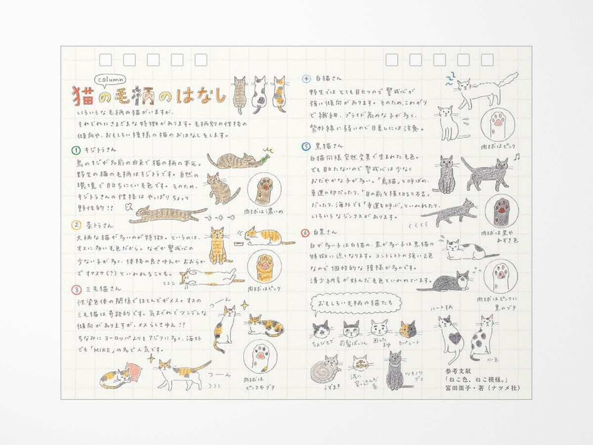 Midori Desk Calendar 2027 - Medium Cat