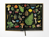 Foraging Window Journal