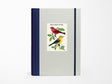 Bird Watching Window Journal