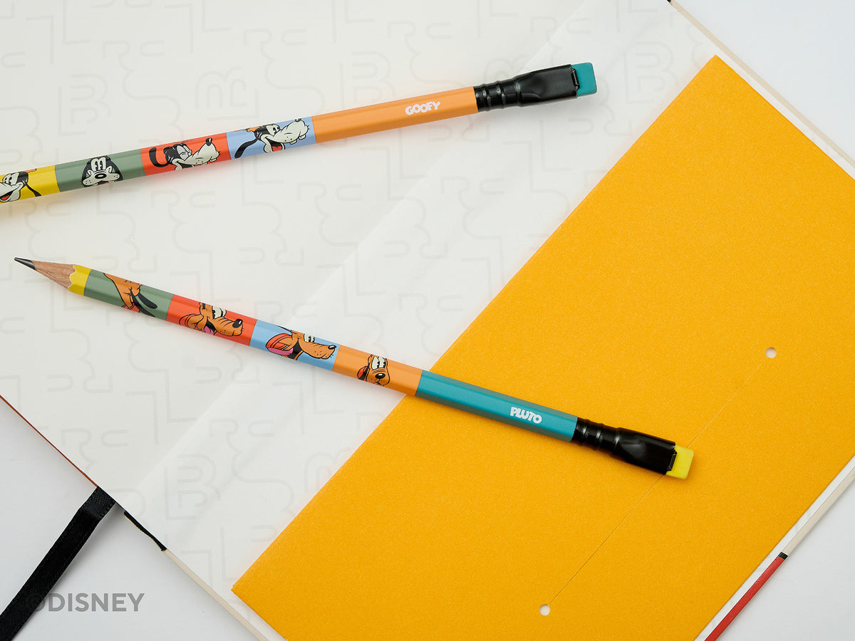 Blackwing Mickey and Friends Slate Notebooks - Donald and Daisy