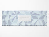Caran D'Ache 849 Ballpoint Pen Alpine Frost Blue