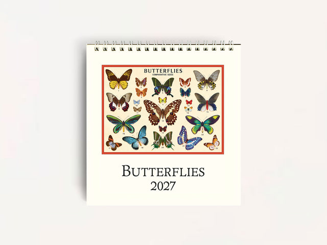 Cavallini 2027 DESK Calendar - Butterflies