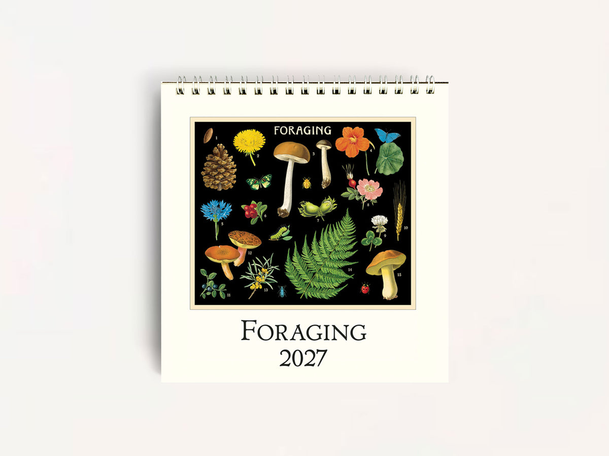 Cavallini 2027 DESK Calendar - Foraging