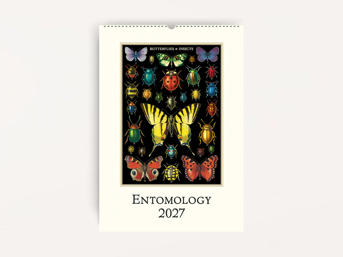 Cavallini 2027 WALL Calendar - Entomology