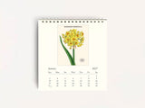 Cavallini 2027 DESK Calendar - Botanica