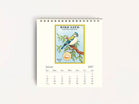 Cavallini 2027 DESK Calendar - Vintage Birds