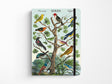 Cavallini Large Vintage Notebook - Birds