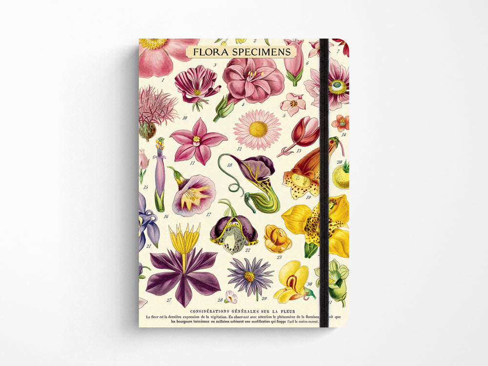 Cavallini Large Vintage Notebook - Flora Specimens
