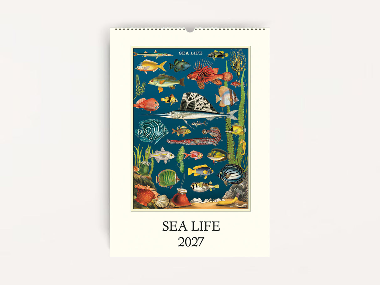 Cavallini 2027 WALL Calendar - Sea Life