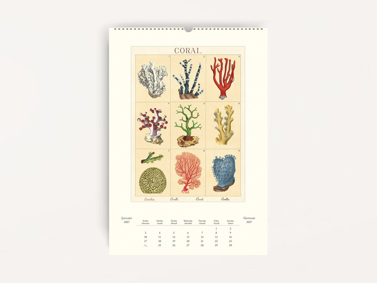 Cavallini 2027 WALL Calendar - Sea Life