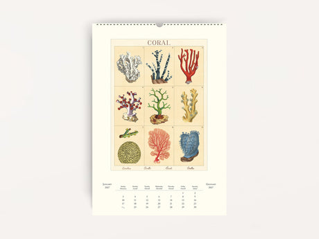 Cavallini 2027 WALL Calendar - Sea Life