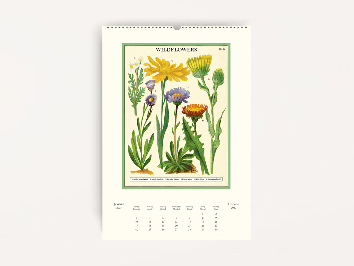 Cavallini 2027 WALL Calendar - Wildflowers