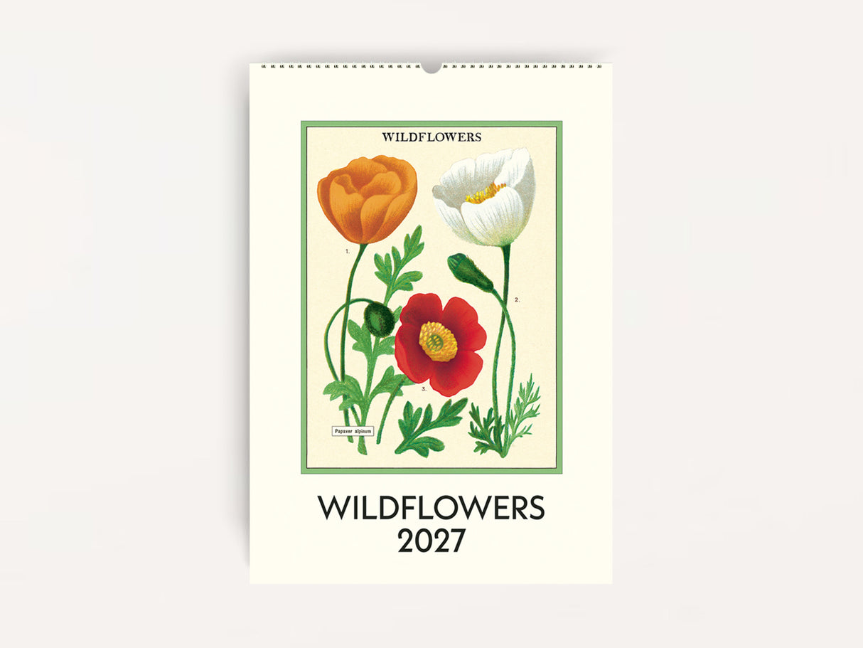 Cavallini 2027 WALL Calendar - Wildflowers