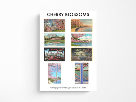 Cherry Blossoms in DC Postcard Booklet
