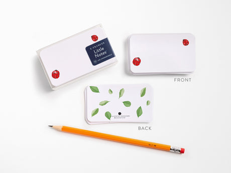 E. Frances Little Notes® - Ladybug New 55 Count