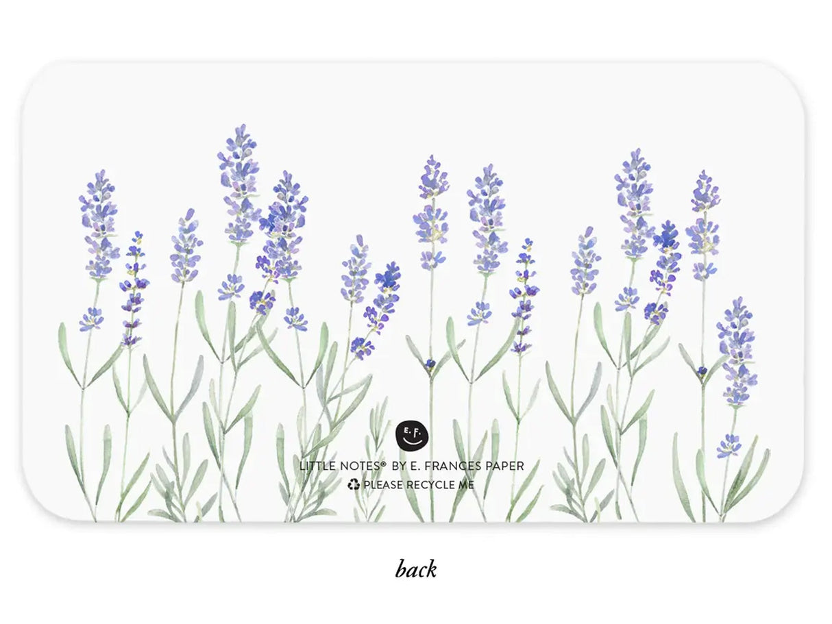 E. Frances Little Notes® - Lavender New 55 Count