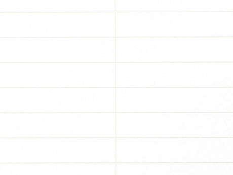 Field Notes 80-Page Steno Book