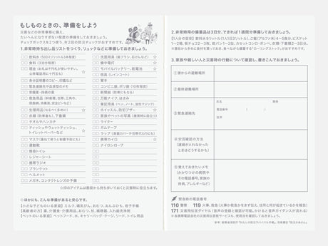 Hobonichi Techo 2027 Original Book A6 - ONE PIECE EDITION