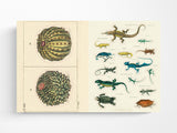 John Derian Sticker Book II