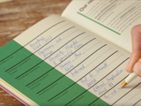 Leuchtturm 1917 Thesis Journal - Dusty Rose
