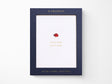 Little Card Big Thanks Greeting Cards Box of 6