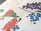 Midori Seasonal Envelopes - 001 Winter Fruit - Four Designs