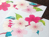 Midori Seasonal Envelopes - 022 Silk Printing Cherry Blossom