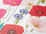 Midori Seasonal Letter Pad - 017 Poppy 4 Designs